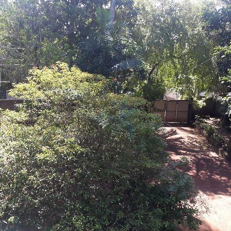 Guesthouse Sunshine Aluthgama Bagian luar foto