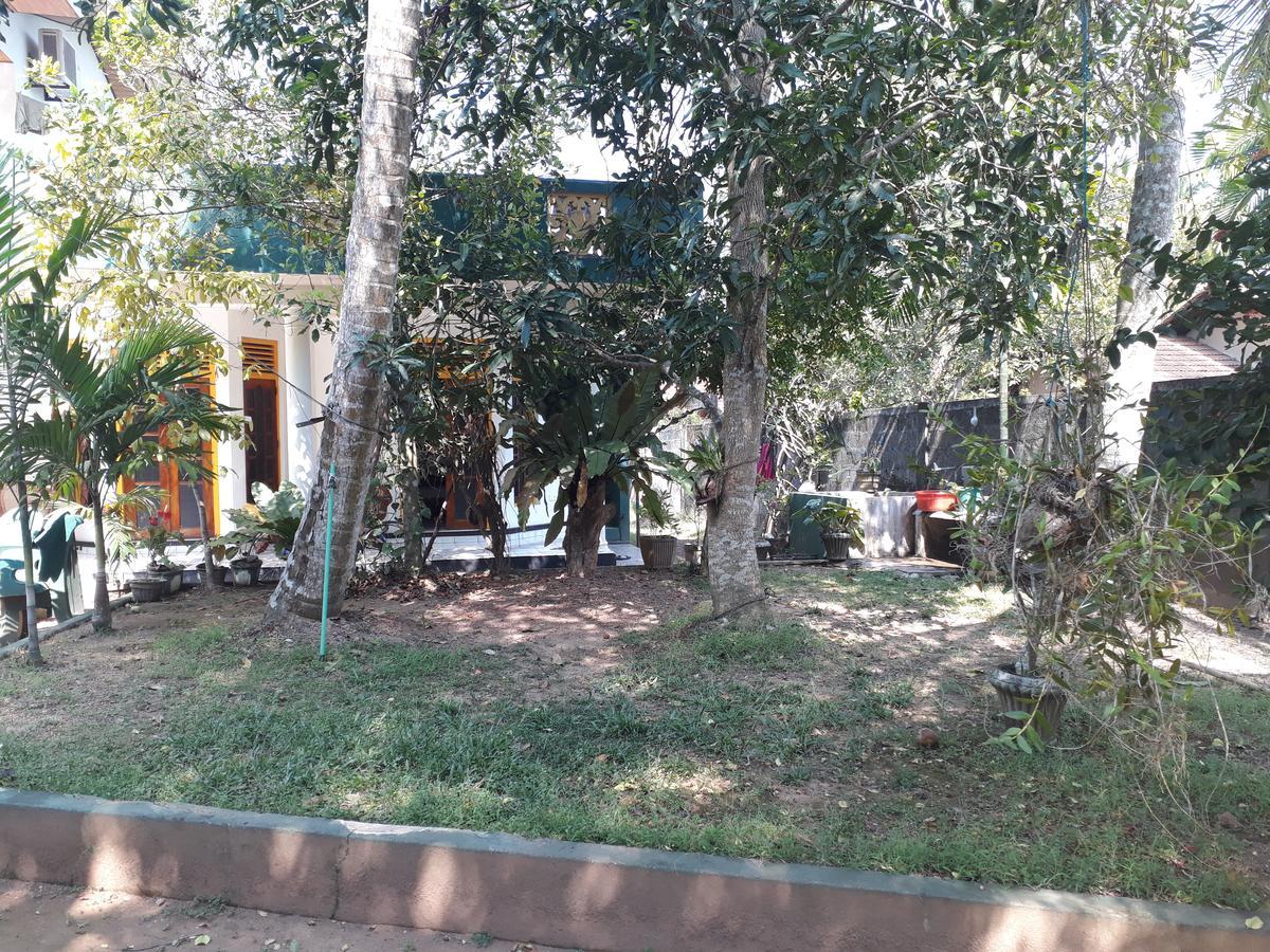 Guesthouse Sunshine Aluthgama Bagian luar foto